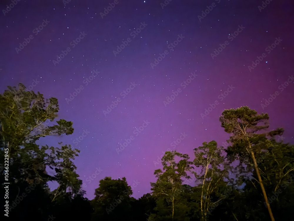 Naklejka premium Southern lights 