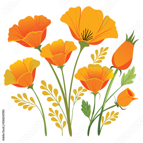 california poppies vector style white background
