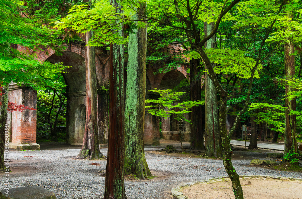 春の京都 南禅寺 水路閣