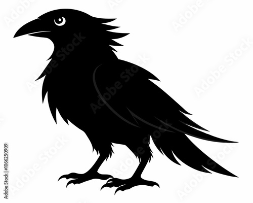 Vector raven silhouette black illustration on a white background