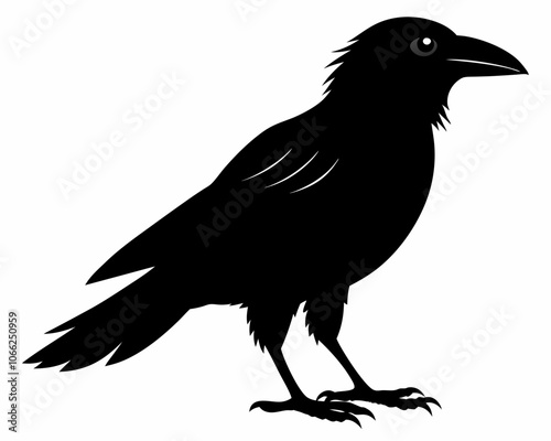 Vector raven silhouette black illustration on a white background