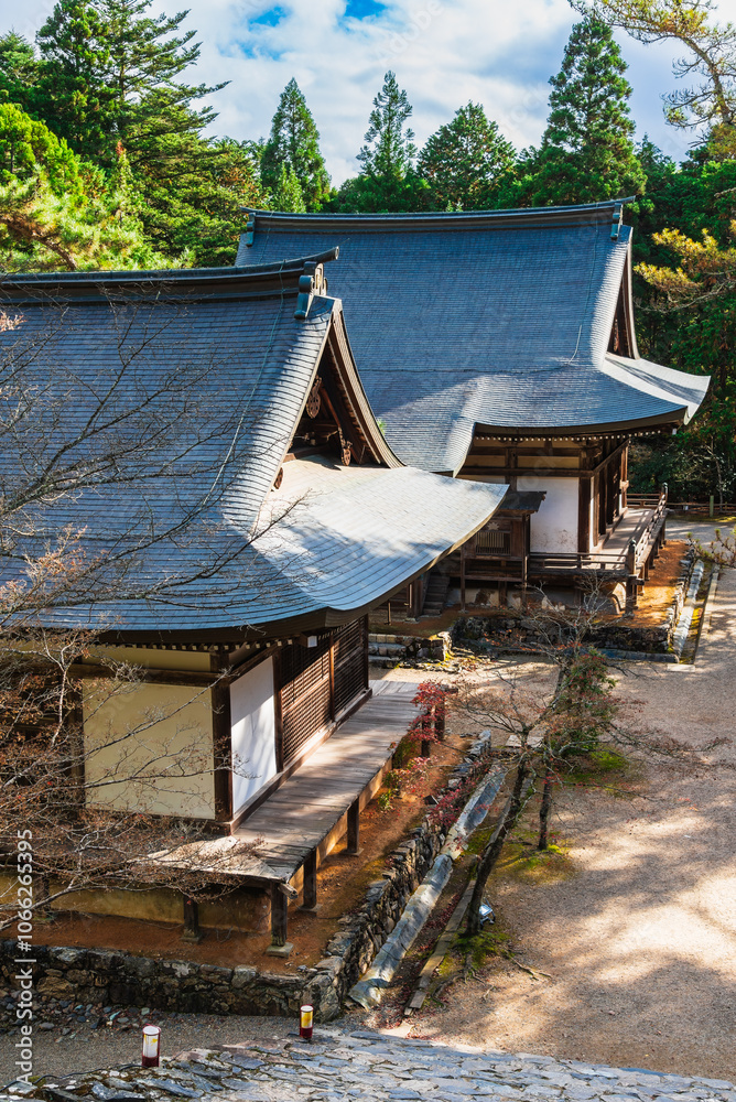 秋の京都 神護寺