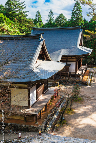 Obraz na płótnie 秋の京都 神護寺 w salonie