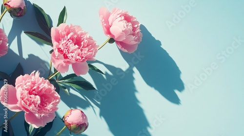 Fototapeta Naklejka Na Ścianę i Meble -  19.Floral frame. Pink peonies with hard shadow on pastel background, copy space. Trendy pattern, summer concept. Top view: