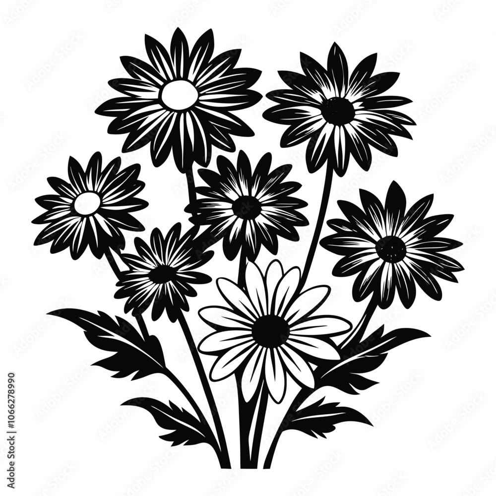 daisies set flower vector illustration