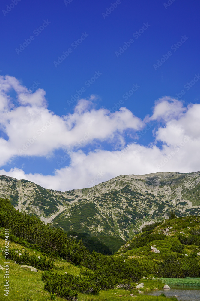 Obraz premium Pirin National Park, Bansko, Bulgaria