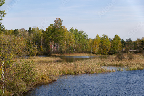 Madawaska River Shore photo