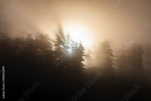 Mystic foggy misty sunrise over pine tree forest, atmospheric anomaly of air optical illusion, just like in a movies about aliens. Good high quality picture as a computer desktop background
 photo