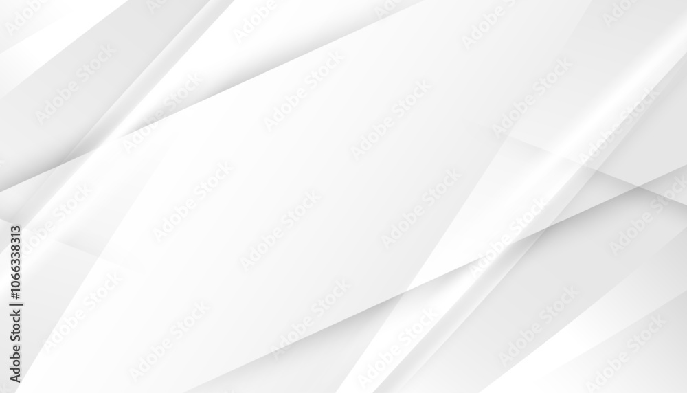 Fototapeta premium Abstract Elegant white and grey Background
