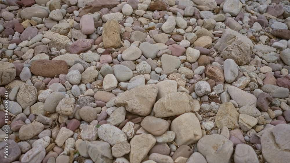 Natural riverbed scene filled with multicolored rocks and pebbles in an outdoor setting, highlighting textured stones and diverse geological formations. Natural riverbed scene filled with multicolored rocks and pebbles in an outdoor setting, highlighting textured stones and diverse geological formations.