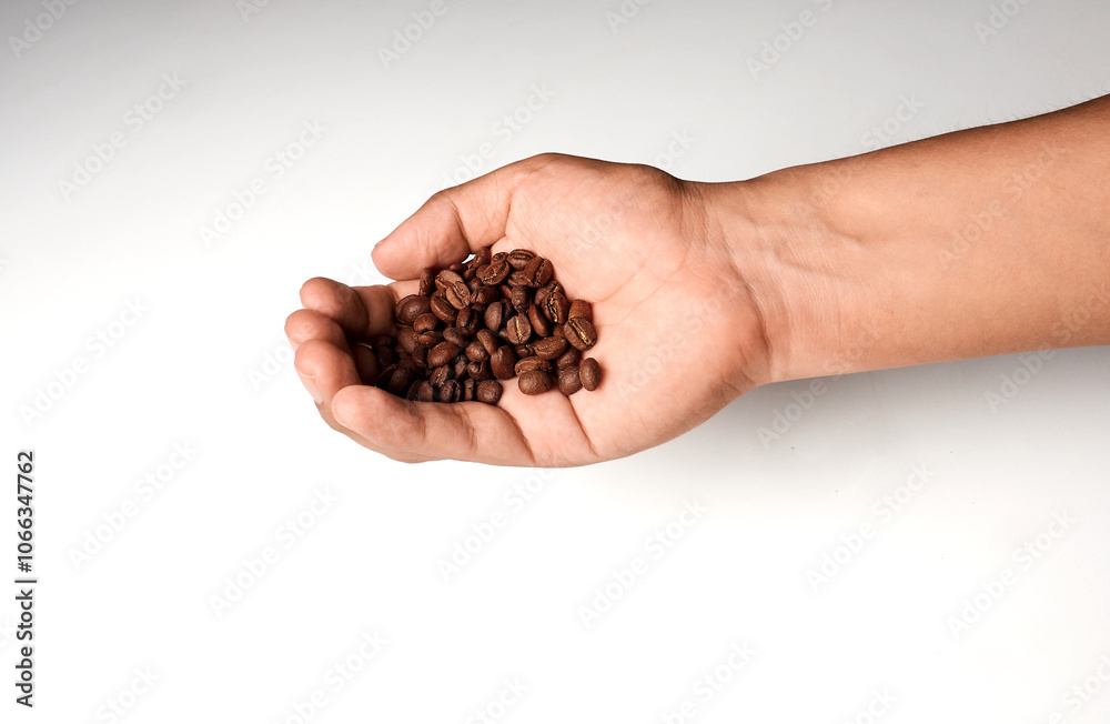 Hand of Latino man holding coffee beans on a soft background.
Hand of Latino man holding coffee beans on a soft background.