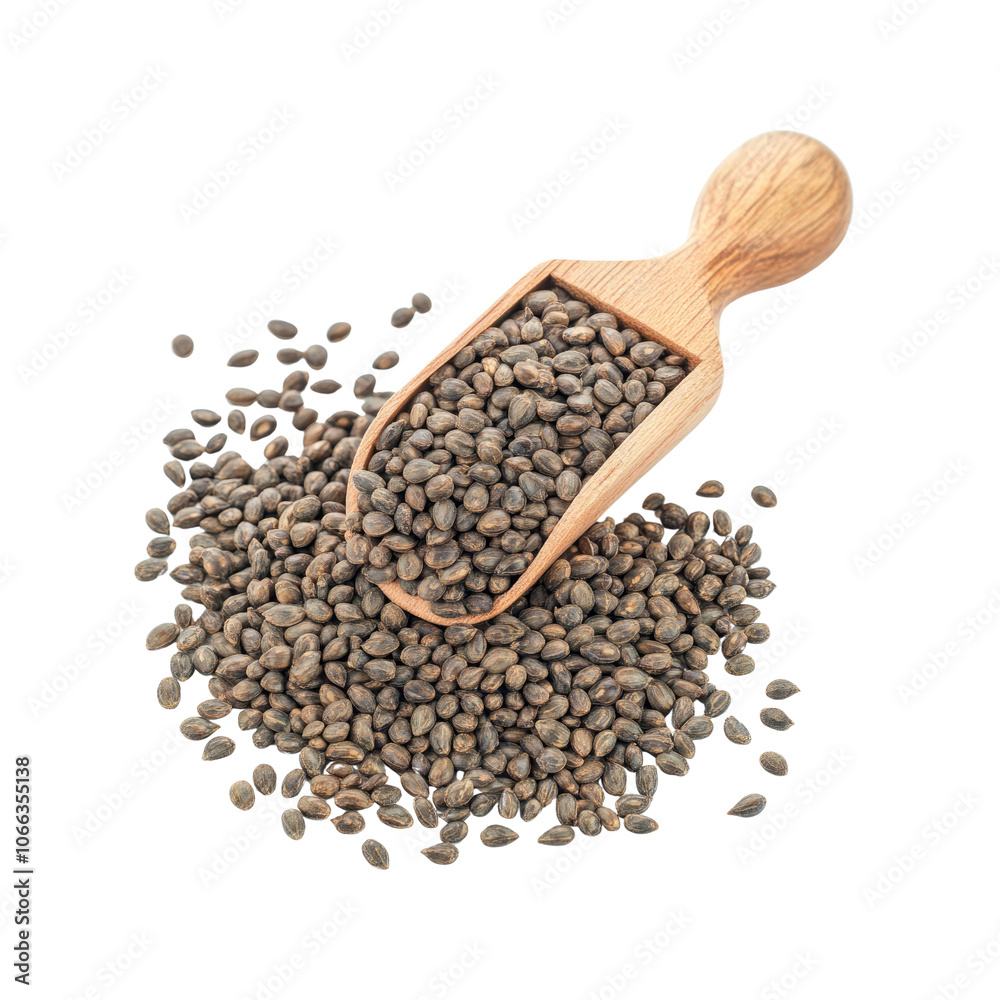 Organic Hemp Seeds in Wooden Scoop Isolated on White Background Organic Hemp Seeds in Wooden Scoop Isolated on White Background