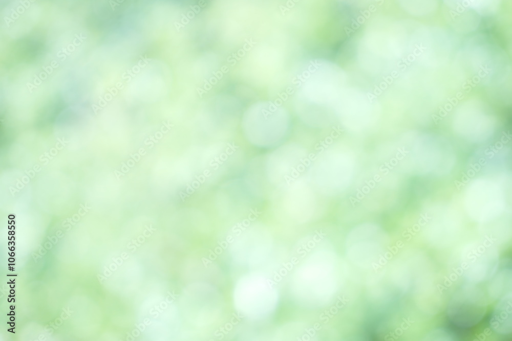 Soft focus Green Pastel Abstract bokeh background Glittering aesthetic textured pattern Soft focus Green Pastel Abstract bokeh background Glittering aesthetic textured pattern