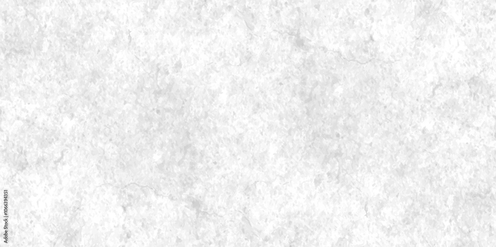 Obraz premium Texture of old white and gray concrete wall, Surface of dirty outdoor building wall, Nature seamless abstract background, vintage white background of natural cement or stone old texture material.