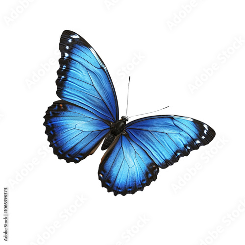 Vibrant Blue Butterfly on Transparent Background