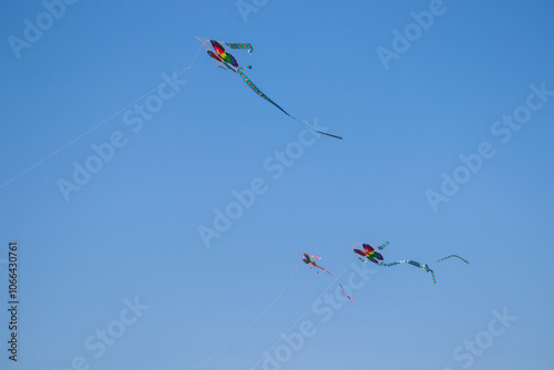 The dance of butterfly and eagle kites across the blue sky. Kite flying, a Korean folk game from Lunar New Year to Daeboreum, symbolizes sending away misfortune and welcoming good fortune.