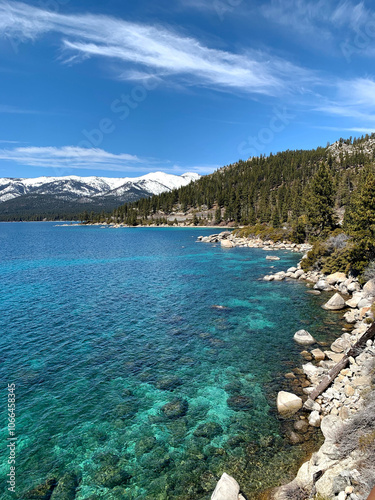 Crystal Clear Waters and Pine Forest with Mountain Views at Lake Tahoe