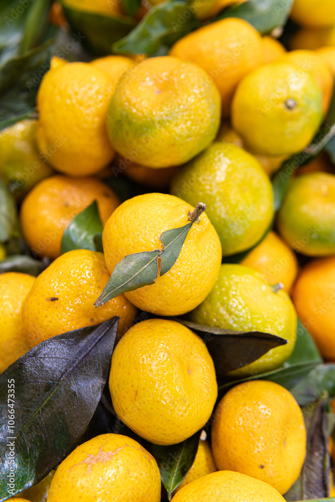 fresh market ripe healthy sweet raw vegetarian fruit juicy background food organic citrus fresh market ripe healthy sweet raw vegetarian fruit juicy background food organic citrus