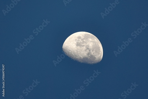 Moon in the early morning