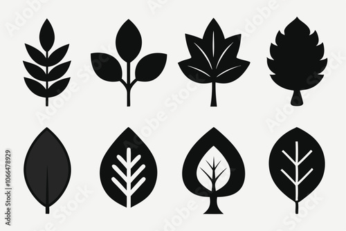 Set of Leaf icons. Leaves of trees and plants. Leaf silhouette. Leaf Collection. Leaf vector .Decoration elements design