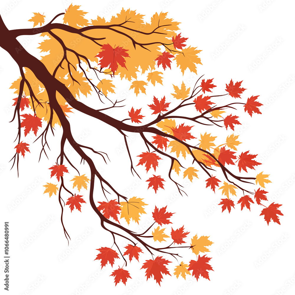 autumn leaves isolated on white autumn leaves isolated on white