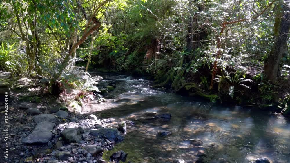 Ross Creek Flowing Through Lush Forest Scenery