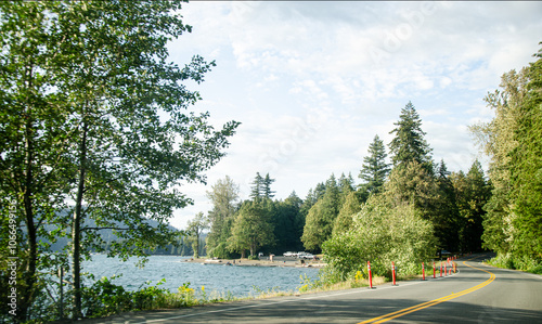 Cultus lake park road lined with pine trees in Chilliwack, Fraser Valley, BC, Canada