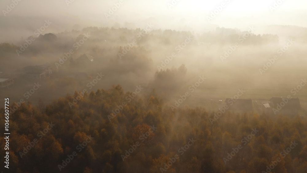 Naklejka premium Enchanted foggy landscape with autumn colors