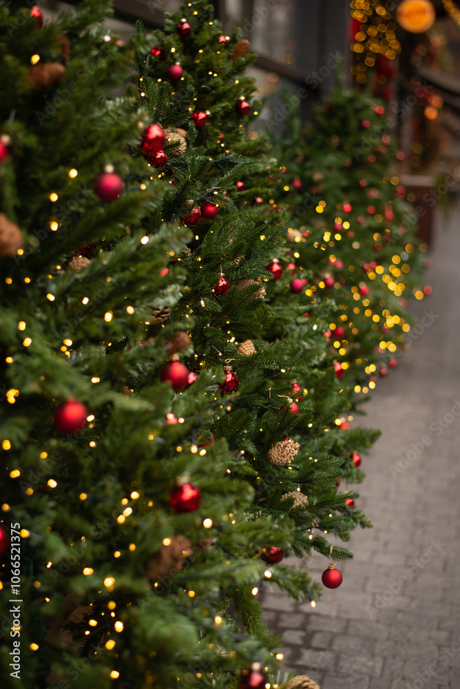 christmas trees in the street christmas trees in the street