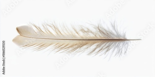 A detailed view of a delicate, plush feather set against a white backdrop highlights its softness and fluffiness, showcasing the beauty of this isolated feather.