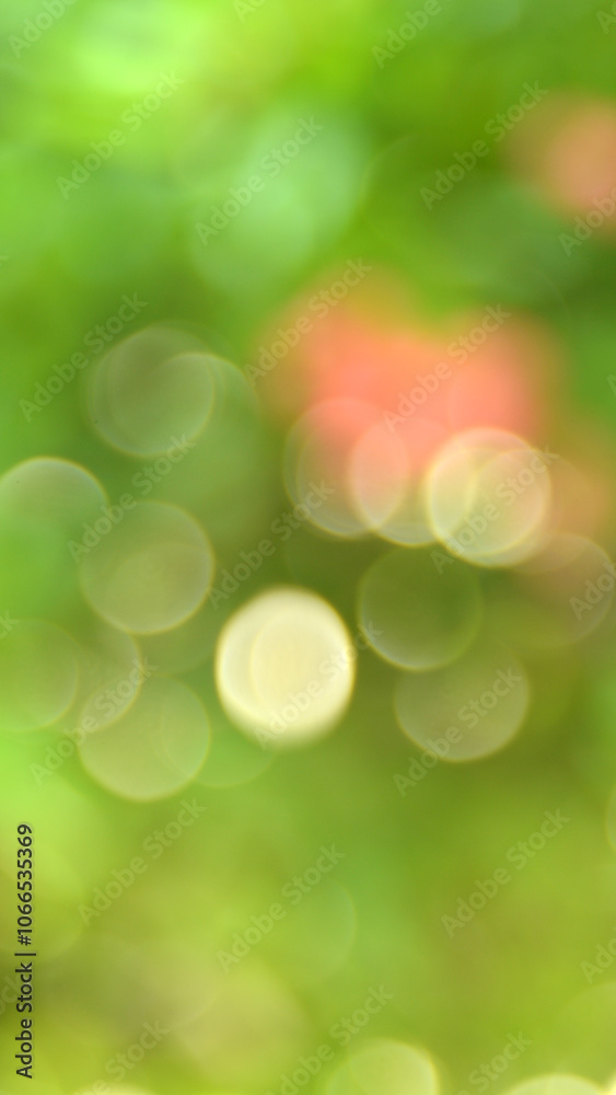 Obraz premium Abstract blurred green nature background. blurry backdrop for design.