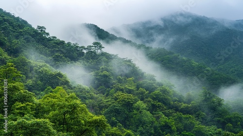 Serene high mountain landscape with lush foggy forest during the rainy season creates a beautiful atmosphere. Ideal for those seeking tranquil nature visuals with ample copy space.