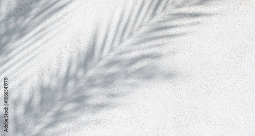 Painted textured white wall with soft grey shadows from palm leaves