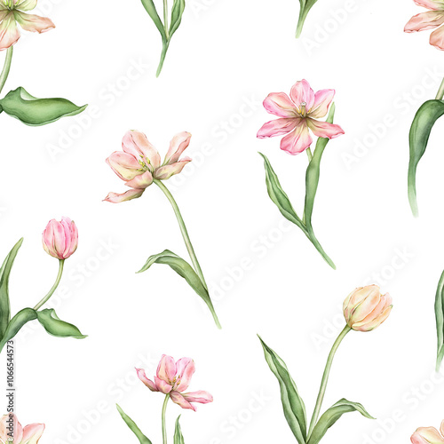 Seamless pattern of pastel pink light yellow bud Tulips watercolor illustration isolated on background. Hand drawn delicate spring perennial bulbous flower for spring wedding repeat design