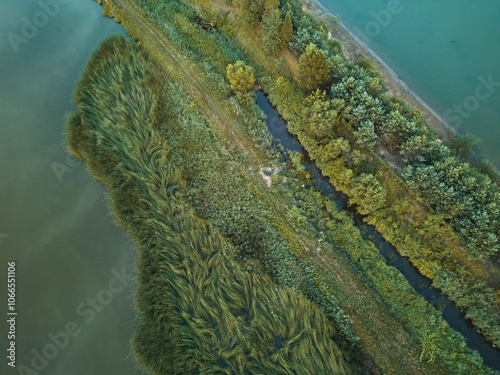 Aerial view of green vegetation strip surrounded by water photo