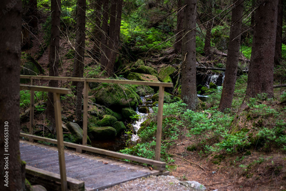 Forest trails in the Jizera Mountains, Czechia, lead through lush woodlands and scenic, tranquil nature. Forest trails in the Jizera Mountains, Czechia, lead through lush woodlands and scenic, tranquil nature.