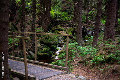 Forest trails in the Jizera Mountains, Czechia, lead through lush woodlands and scenic, tranquil nature.
