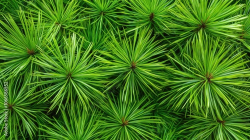 Vibrant Green Foliage Background Texture