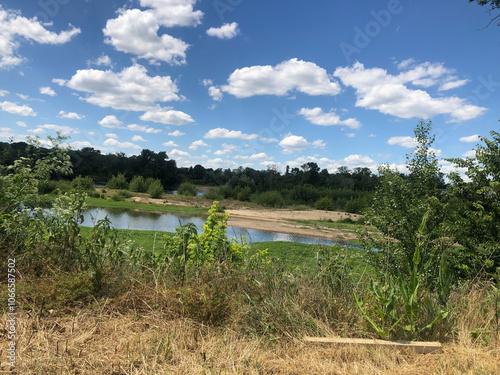 Serene River Landscape: A Tranquil Scene of Lush Greenery and a Flowing Stream