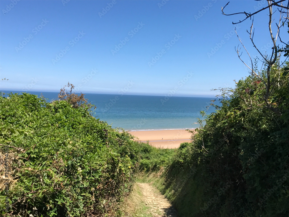 Tranquil Coastal Path: Scenic Route to a Sandy Beach Tranquil Coastal Path: Scenic Route to a Sandy Beach