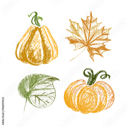 Delightful collection of artistic autumn leaves and pumpkins that are perfect for all your fall season themed designs