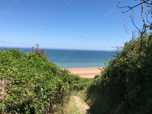 Tranquil Coastal Path: Scenic Route to a Sandy Beach photo