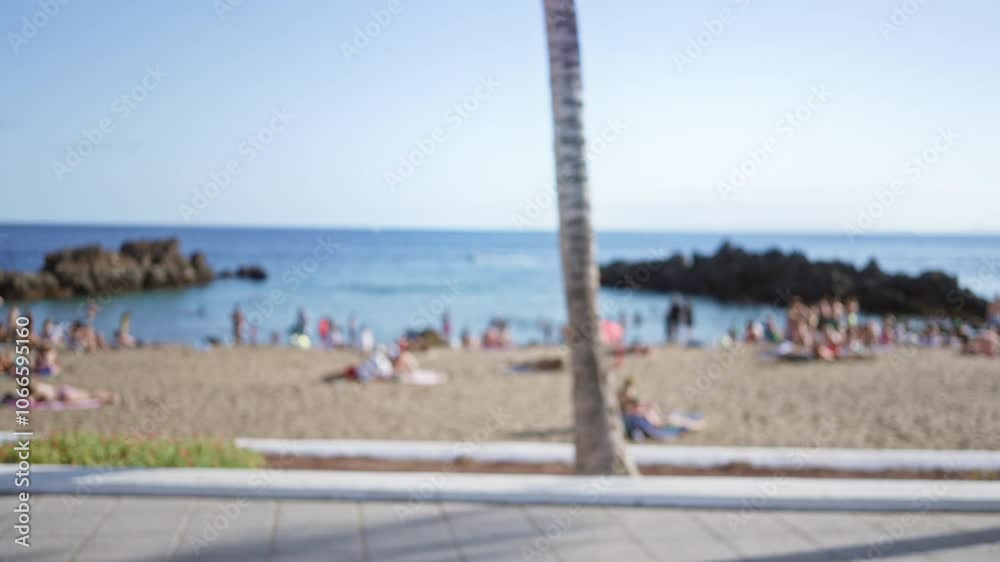 Blurred, beach, scene with numerous people sunbathing and swimming in the ocean and a palm tree in the foreground on a sunny day Blurred, beach, scene with numerous people sunbathing and swimming in the ocean and a palm tree in the foreground on a sunny day