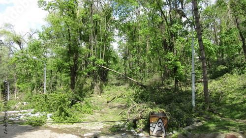 Moldova, Chisinau, logging, after a snowfall, broken trees, broken branches, street, park, fallen trees