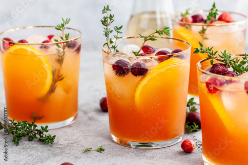 Cranberry-clementine gin tonic photo