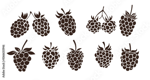 Raspberries Isolated White Background Set