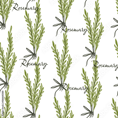 Rosemary Herb Pattern Seamless vector