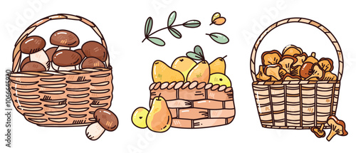 vector set with busket with fruits and mushrooms