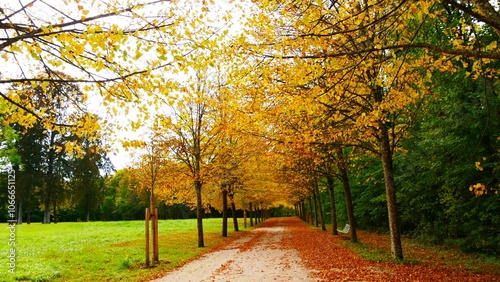 Jardin en automne du château de la Motte Tilly du XVIIIe siècle style Louis XV dans l'Aube, région Grand Est france, europe photo