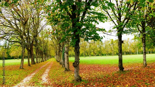 Jardin en automne du château de la Motte Tilly du XVIIIe siècle style Louis XV dans l'Aube, région Grand Est france, europe photo